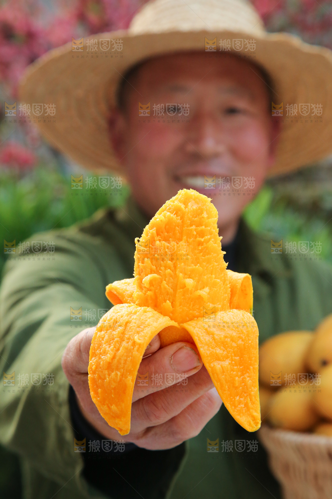 小台芒