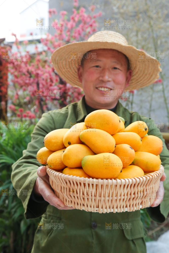 小台芒