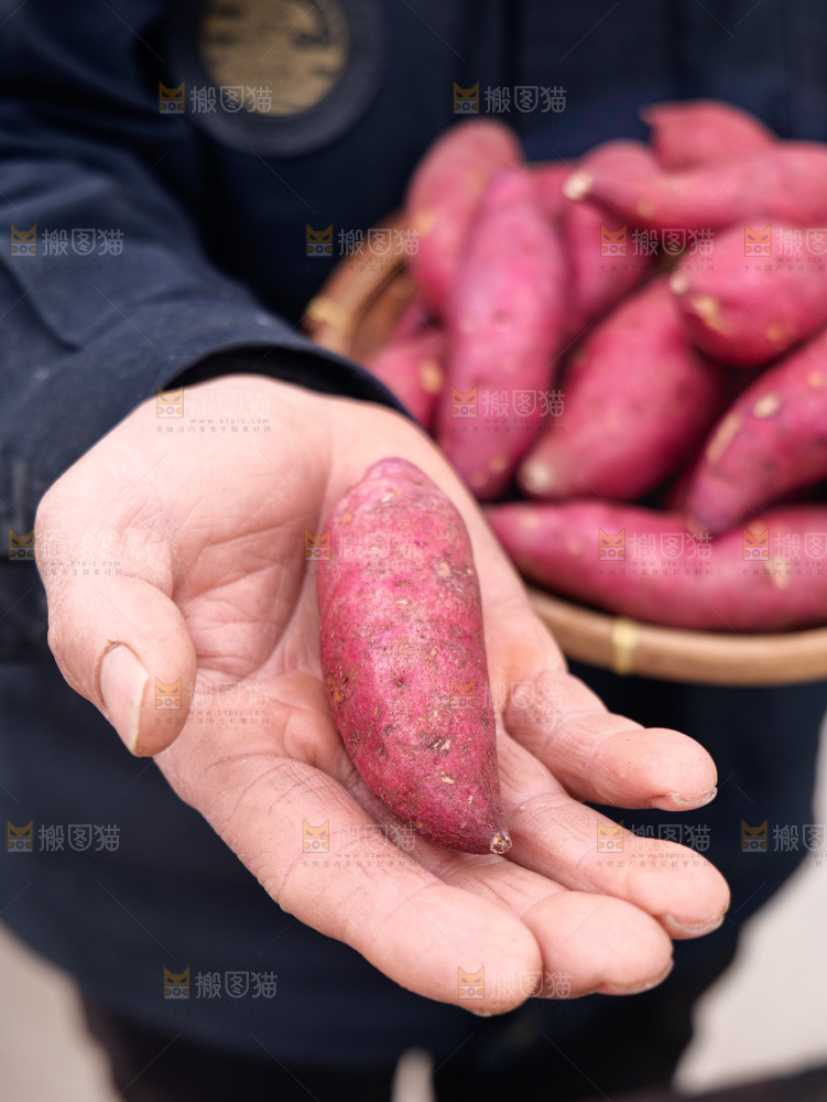小香薯