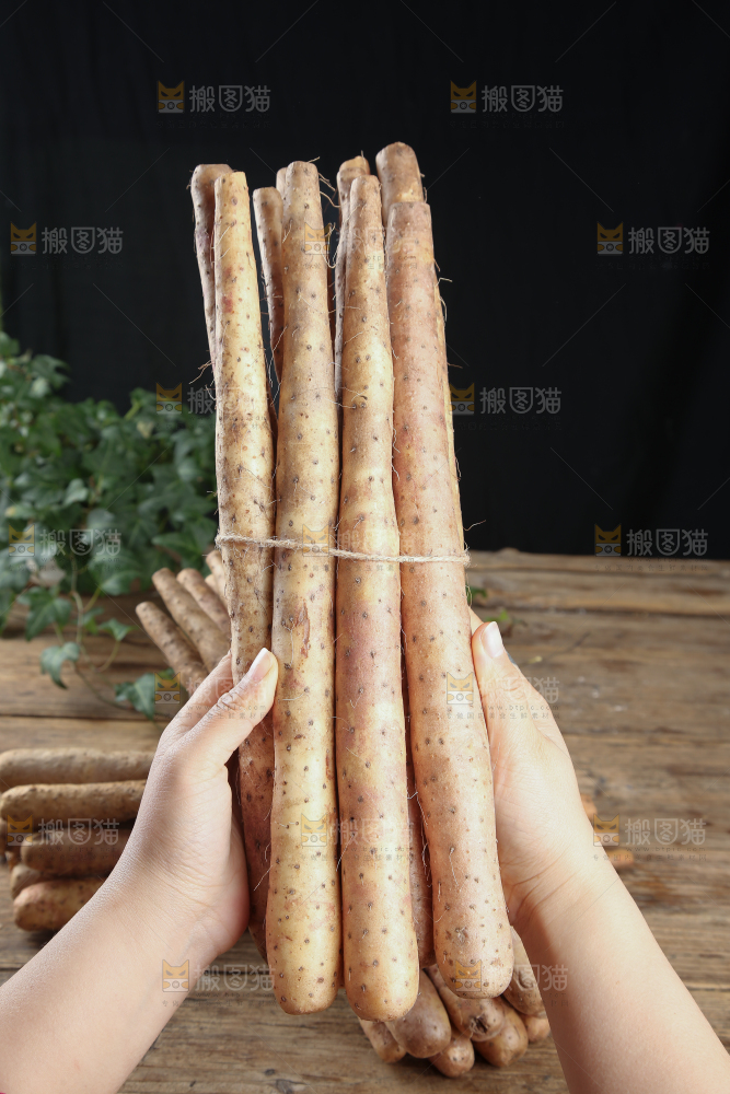 铁棍山药