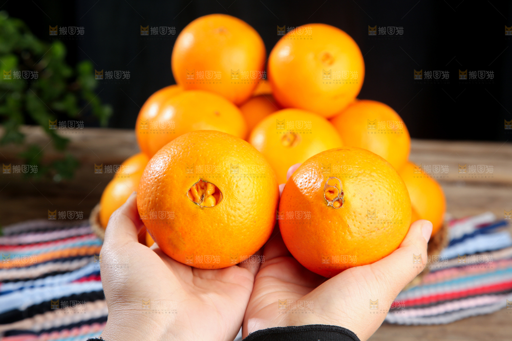 脐橙