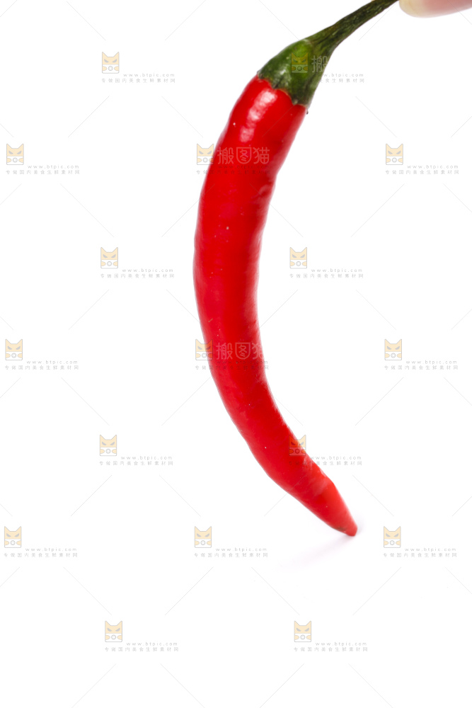 小米椒