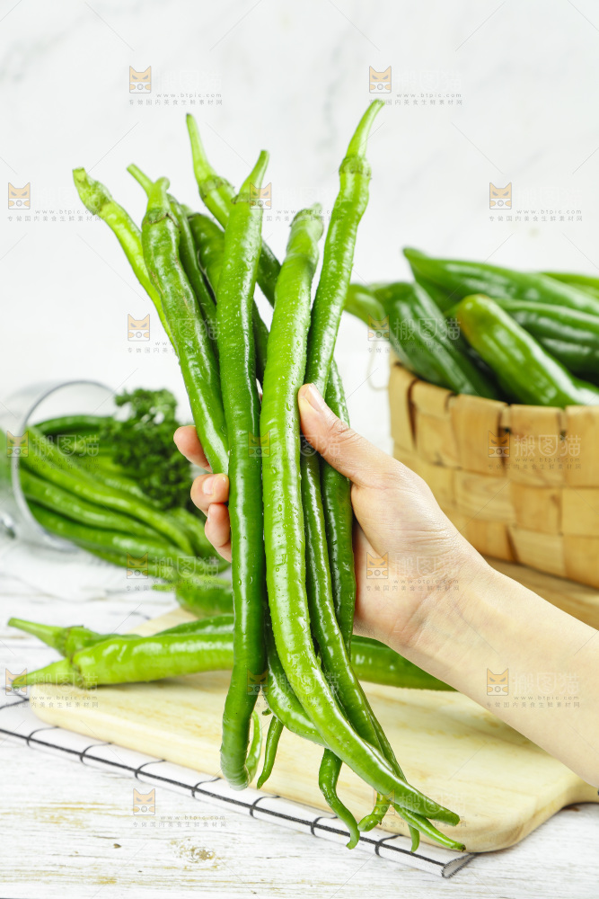 线椒