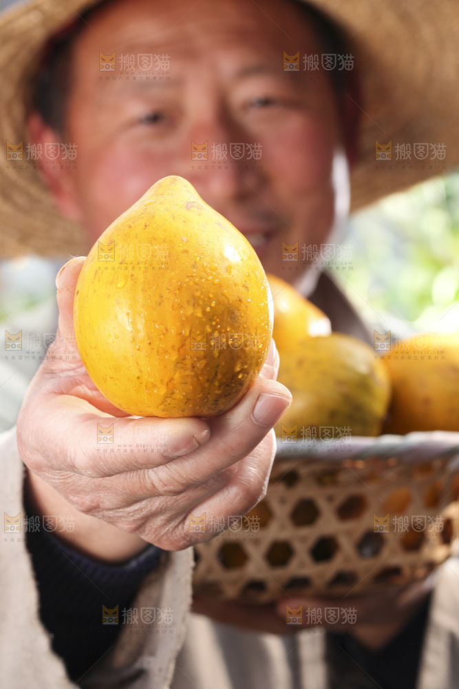 鸡蛋果