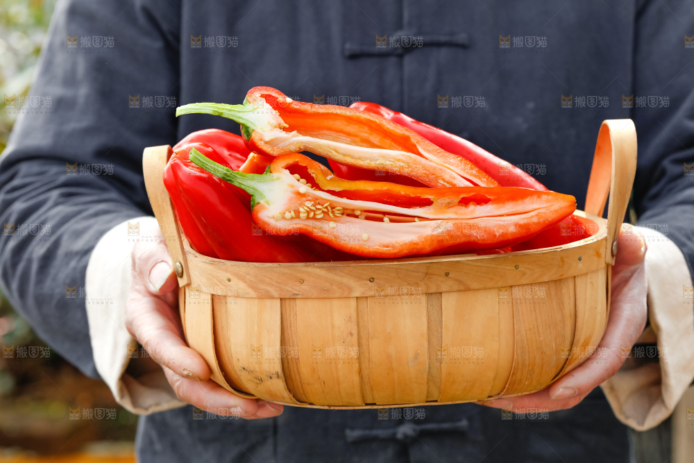 红菜椒