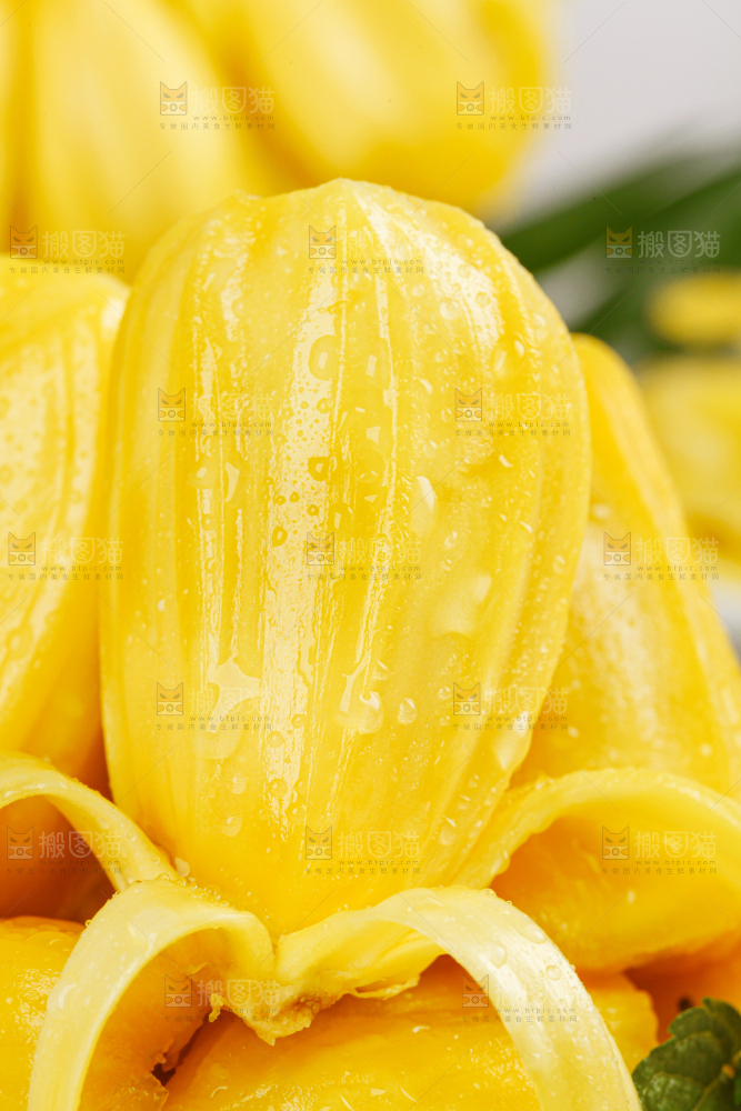 菠萝蜜