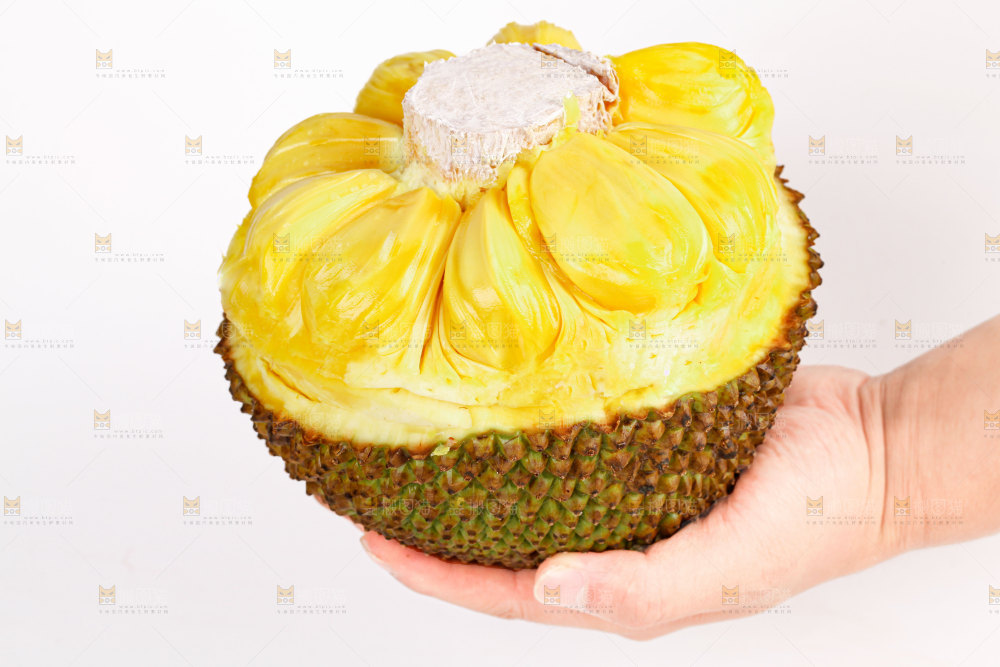 菠萝蜜