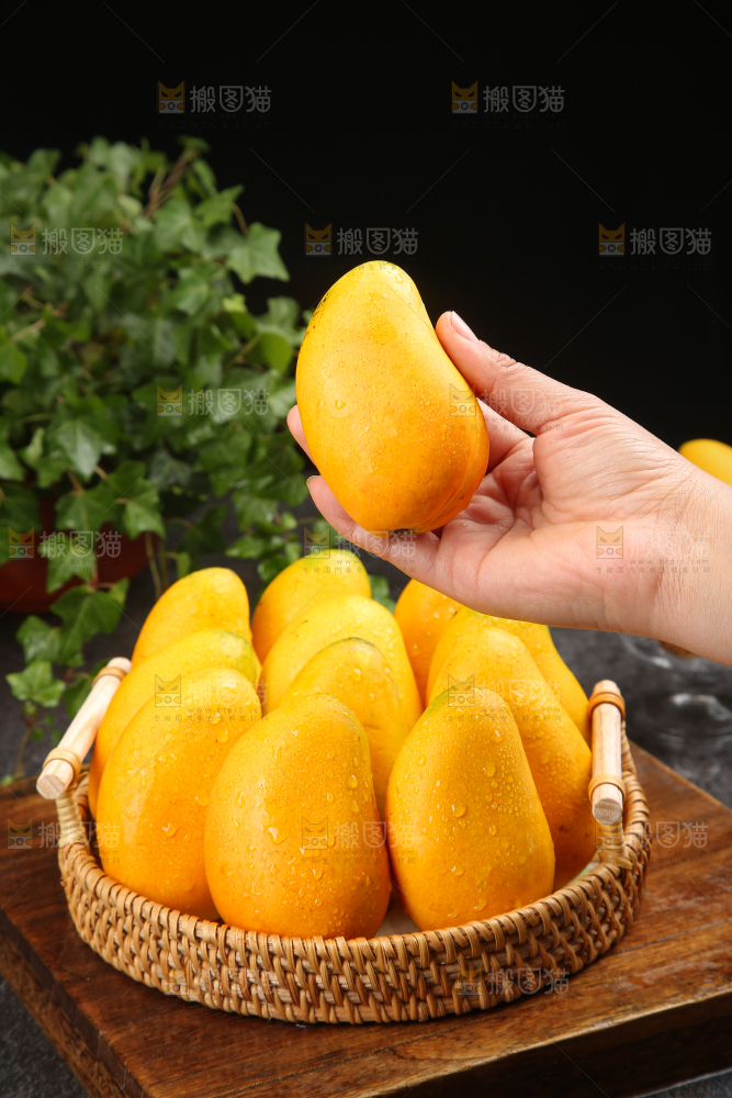 小台芒