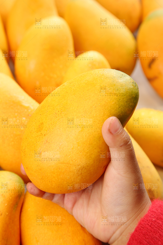 小台芒