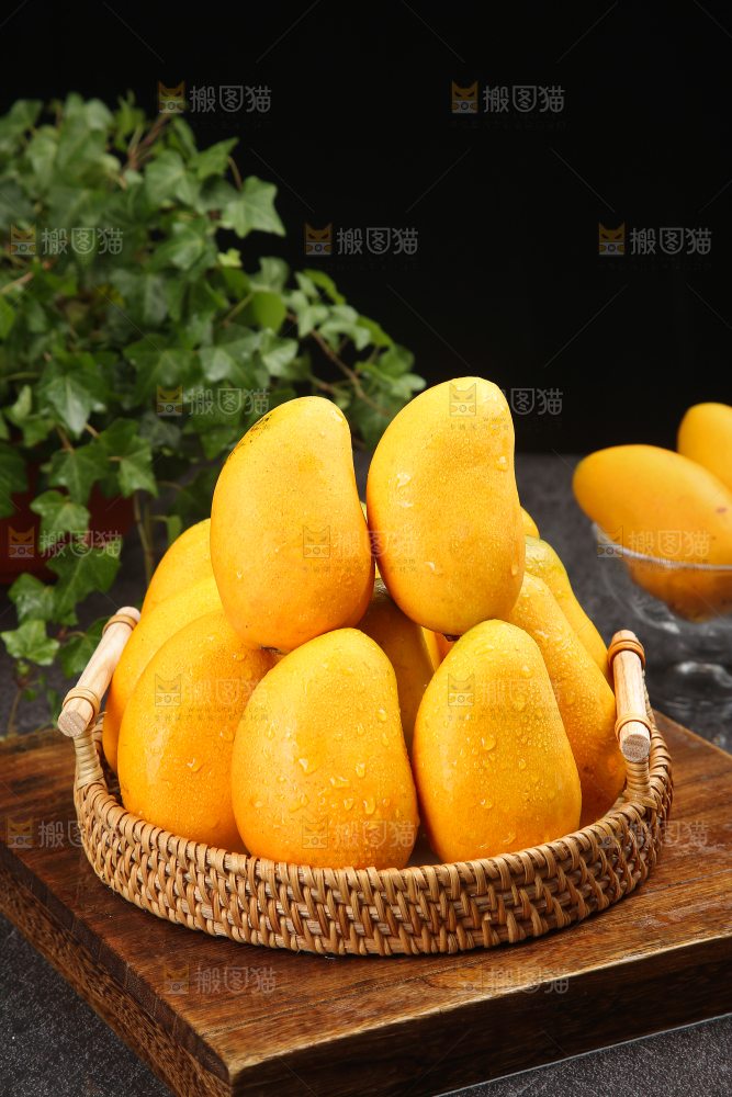 小台芒