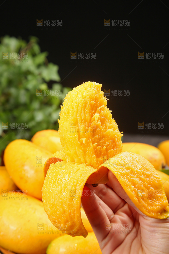 小台芒