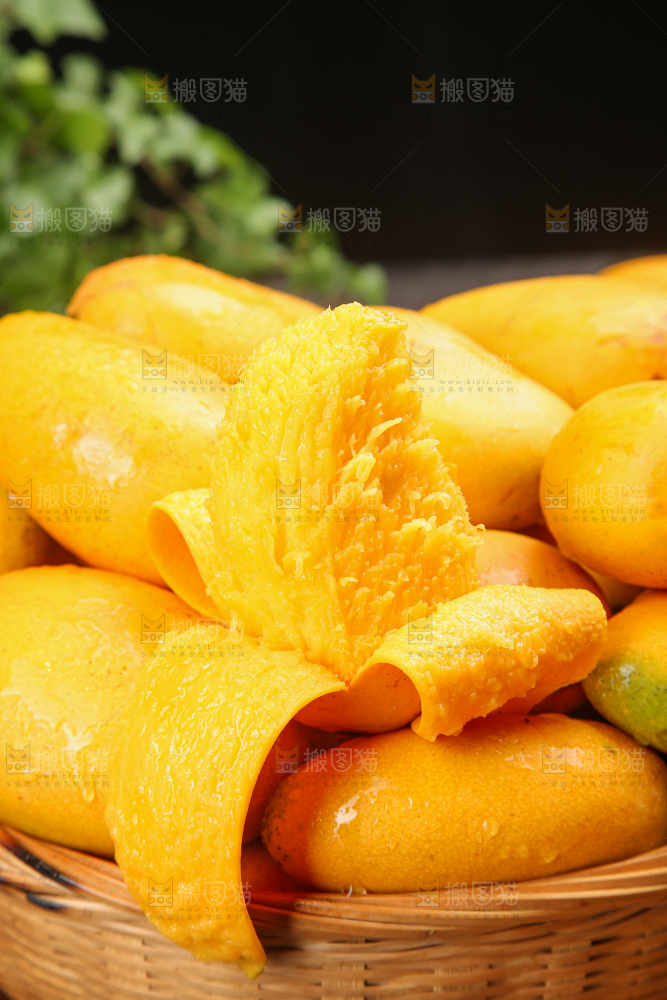 小台芒