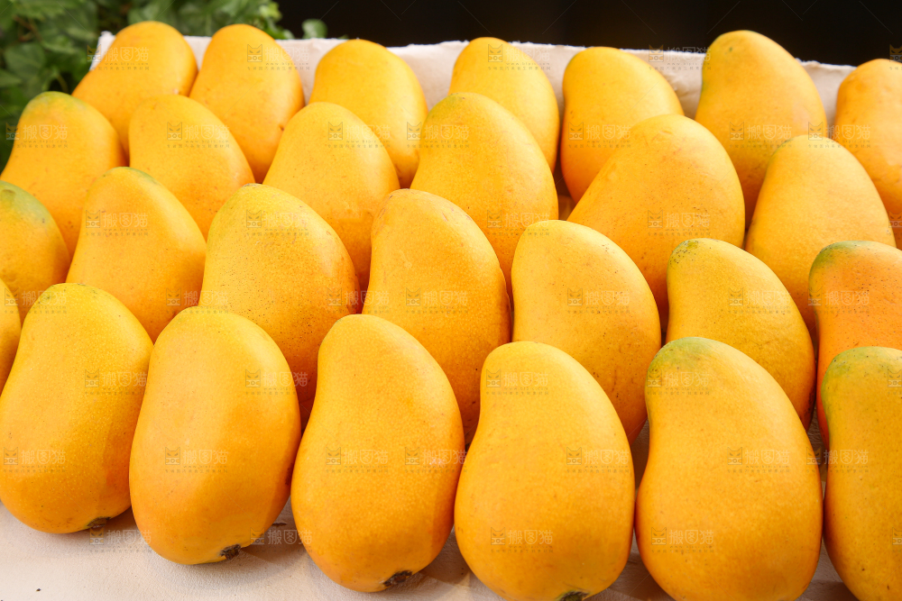 小台芒