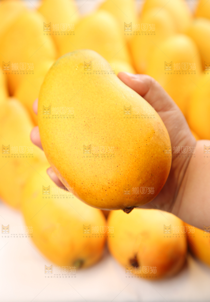 小台芒