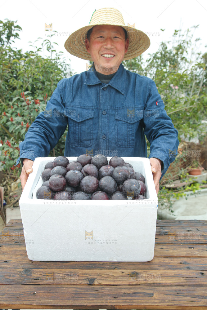 胭脂李