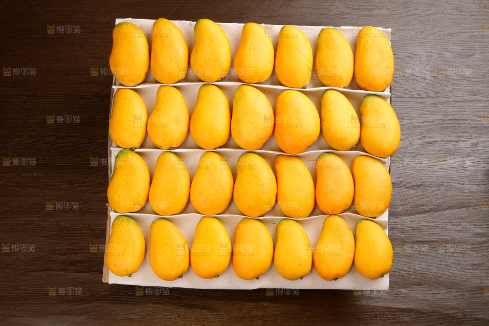 小台芒