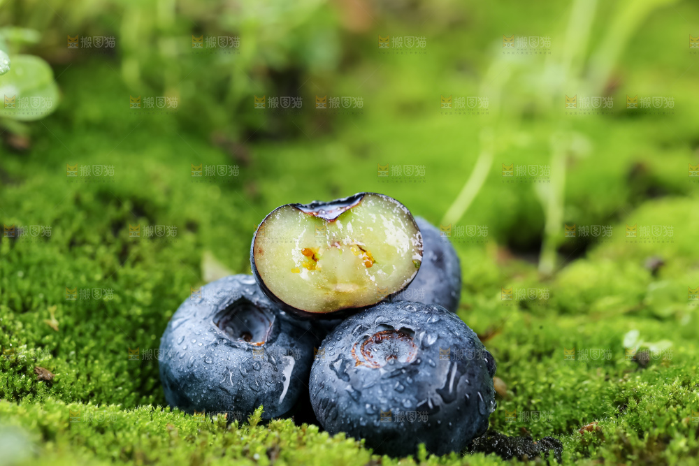 蓝莓