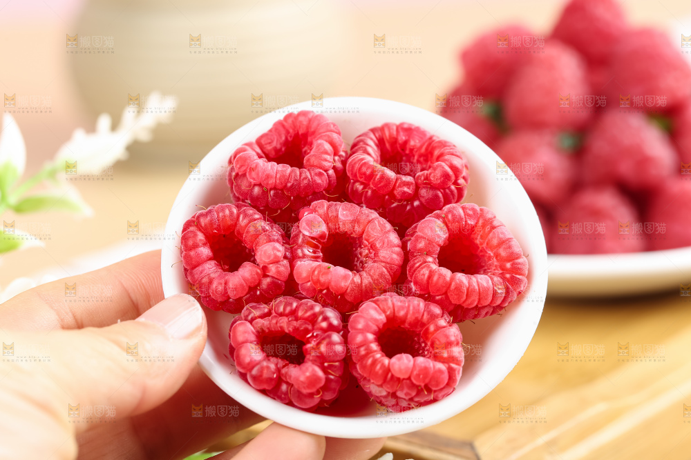 红树莓