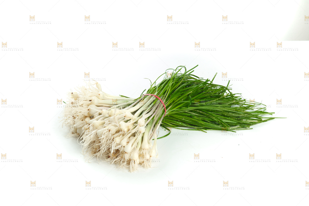 野葱