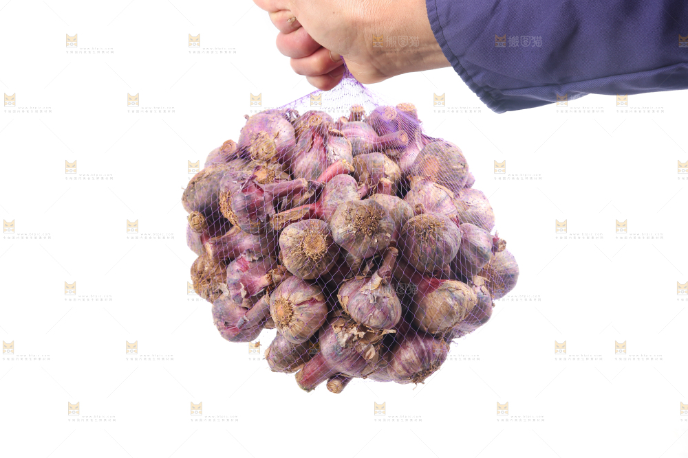紫皮大蒜