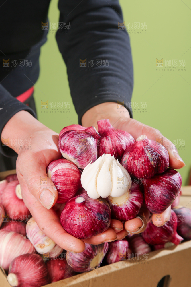 紫皮大蒜