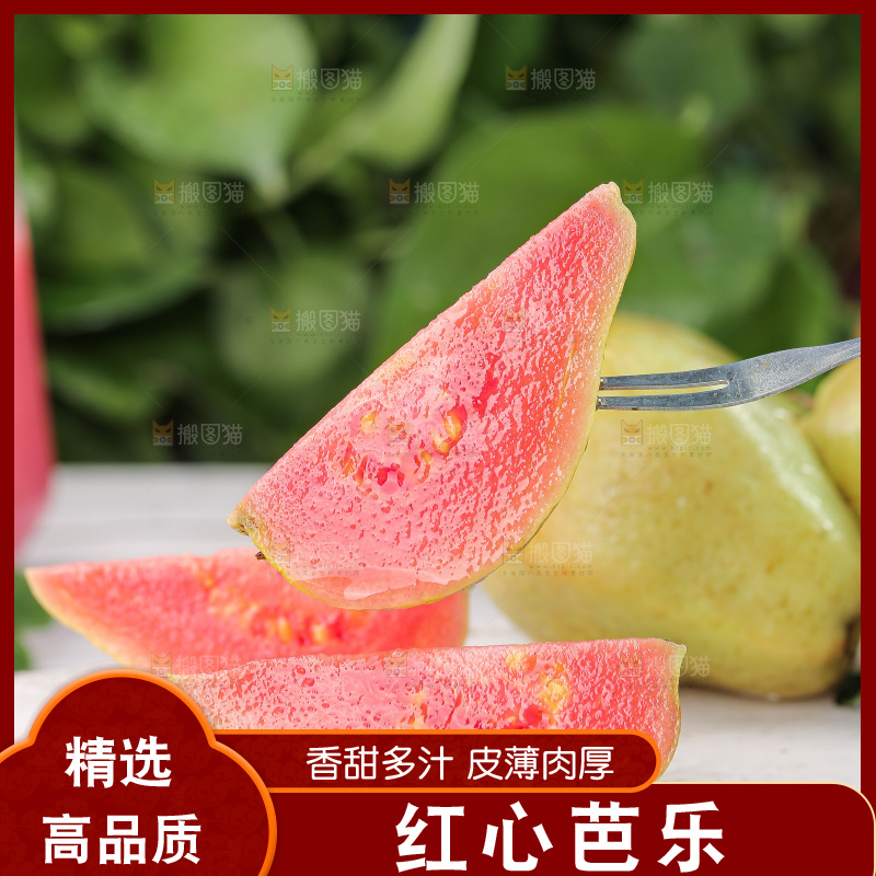 软心红芭乐