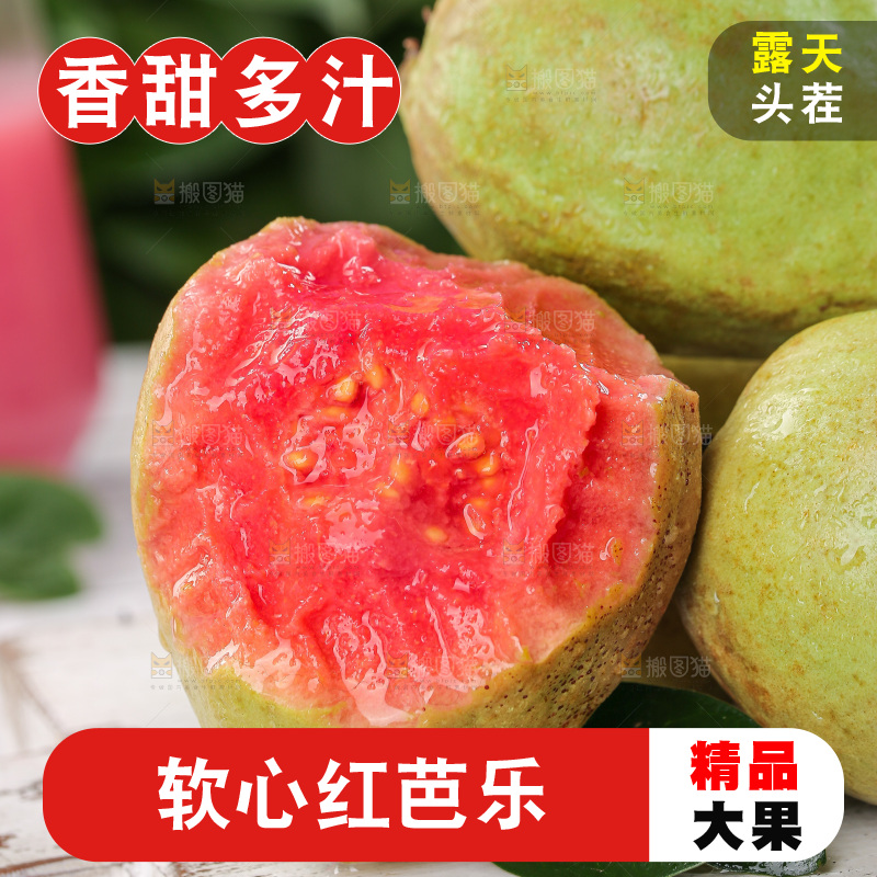 软心红芭乐