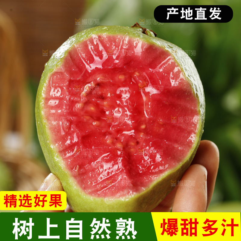 手里拿着红心芭乐