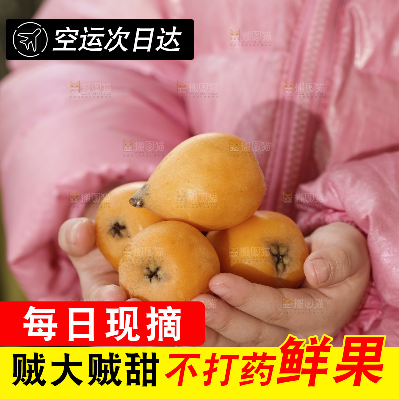 米易枇杷