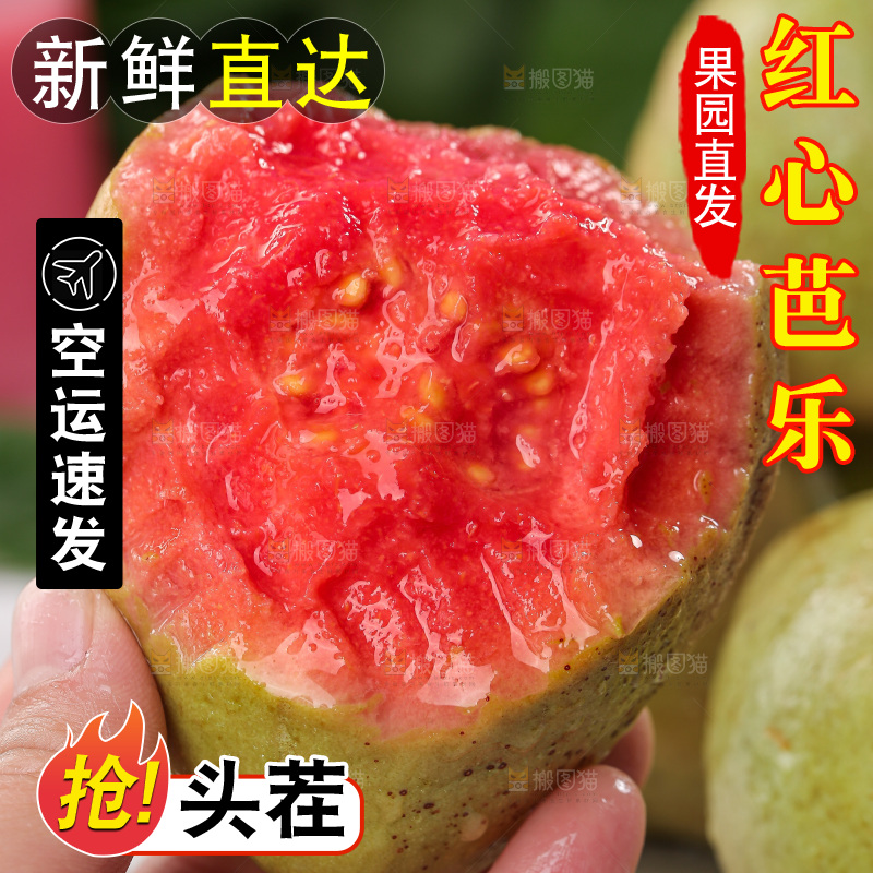软心红芭乐