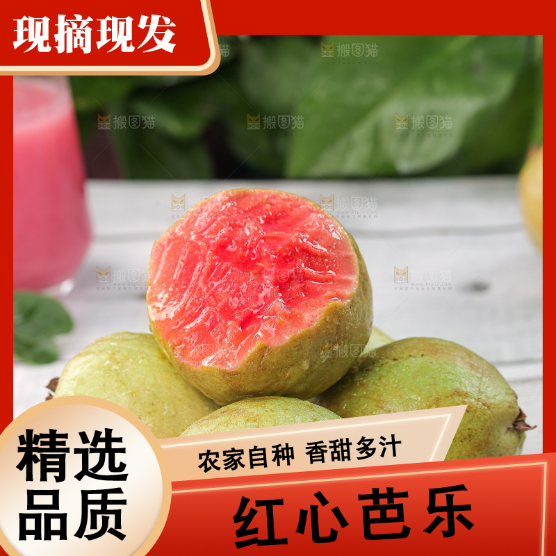 软心红芭乐