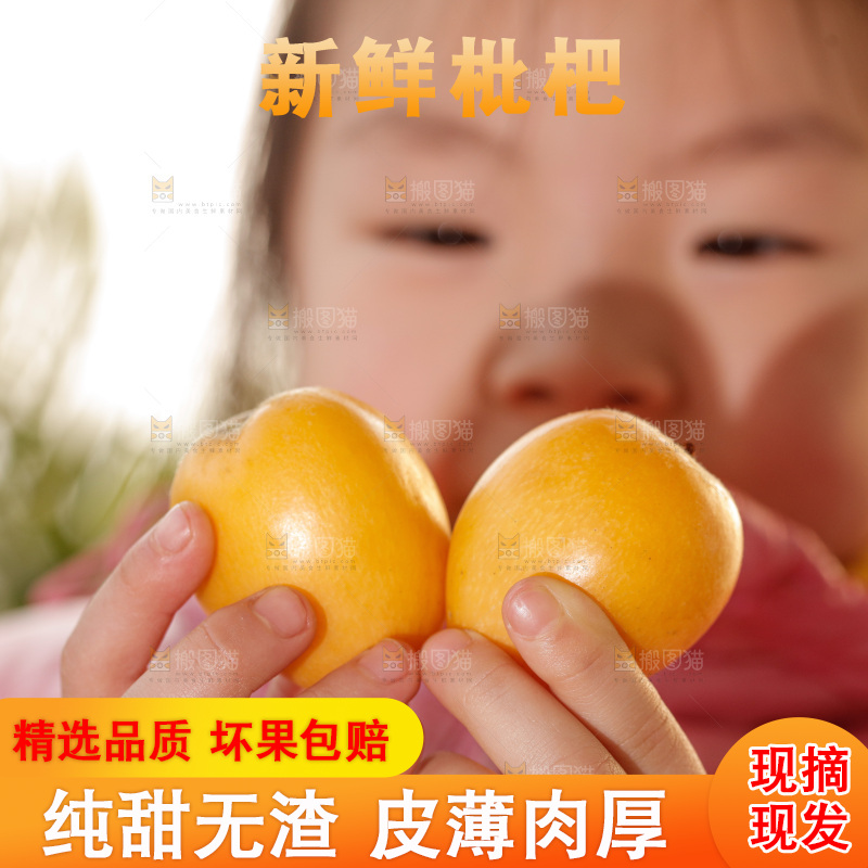 米易枇杷