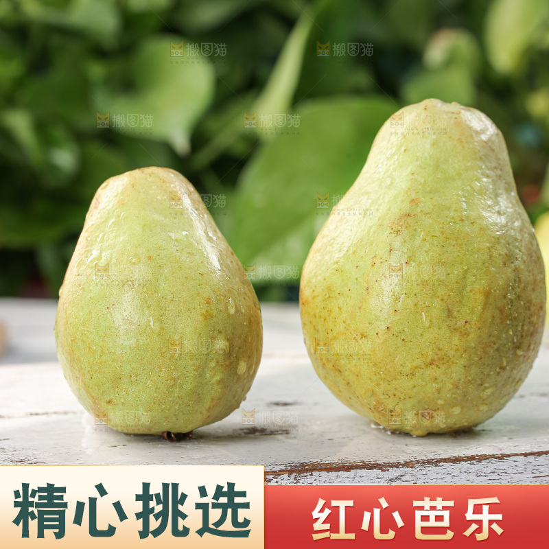 红心芭乐