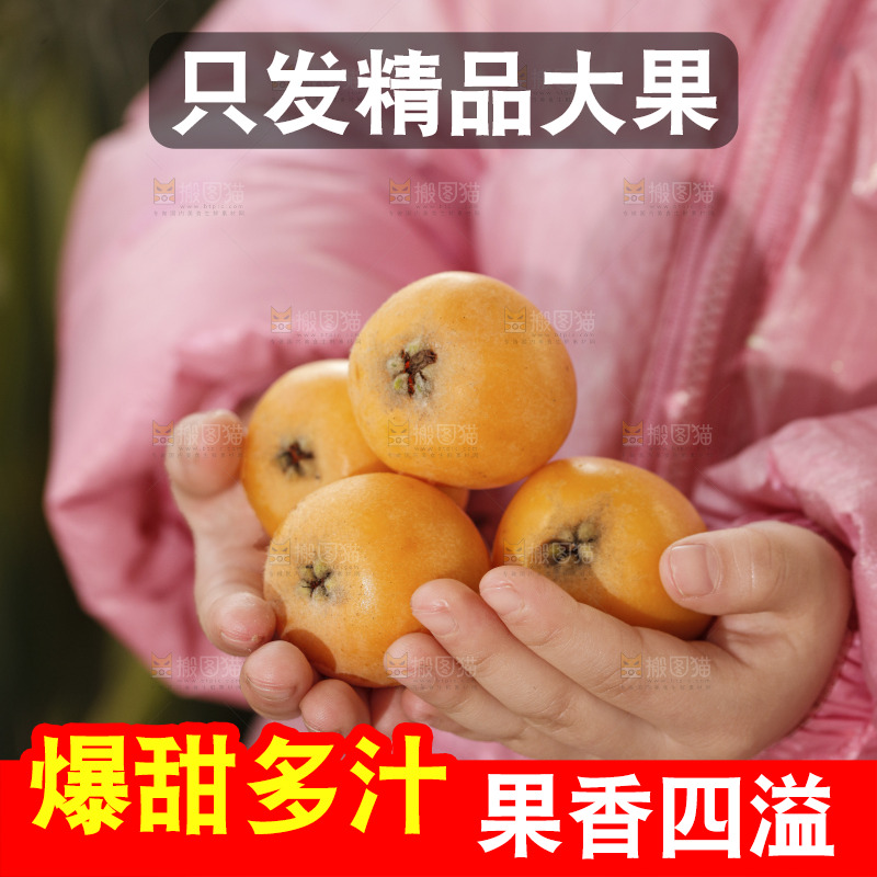 米易枇杷