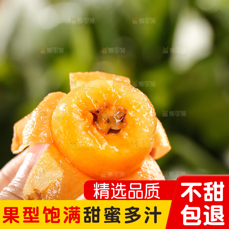 米易枇杷