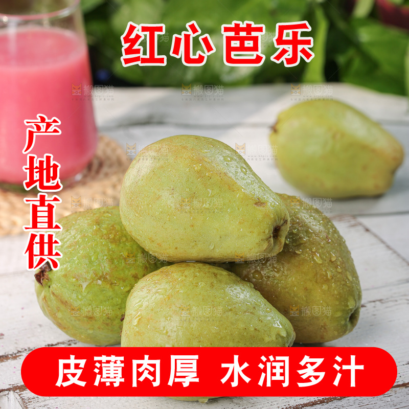 软心红芭乐