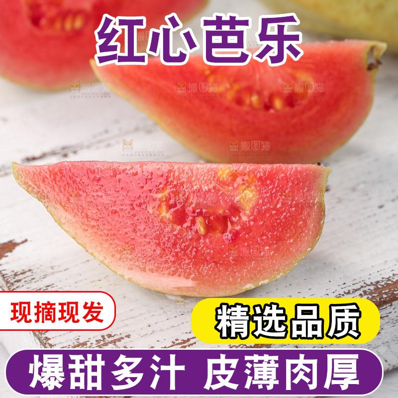 软心红芭乐