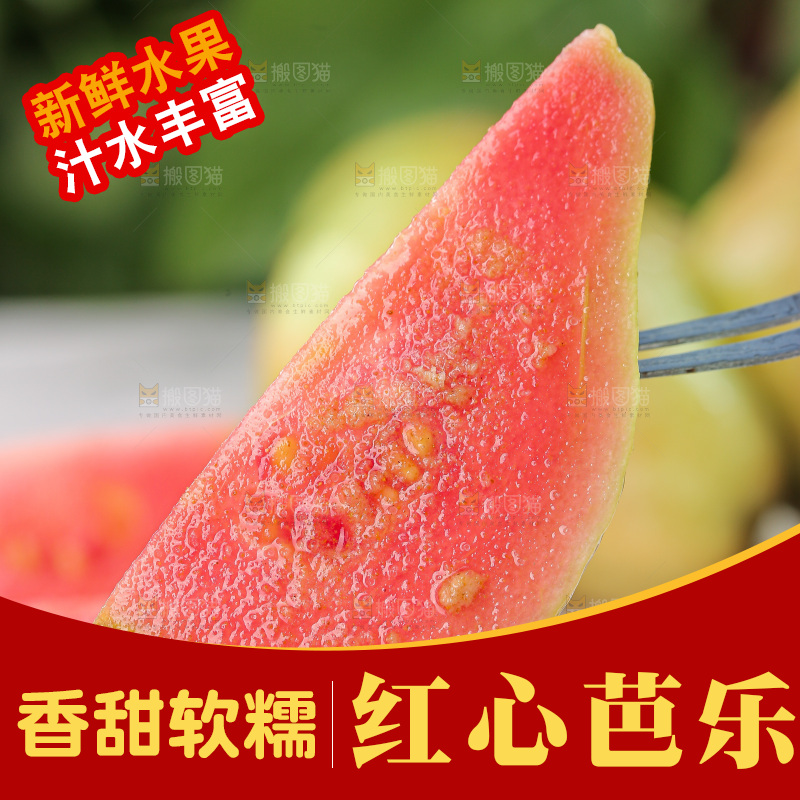 软心红芭乐