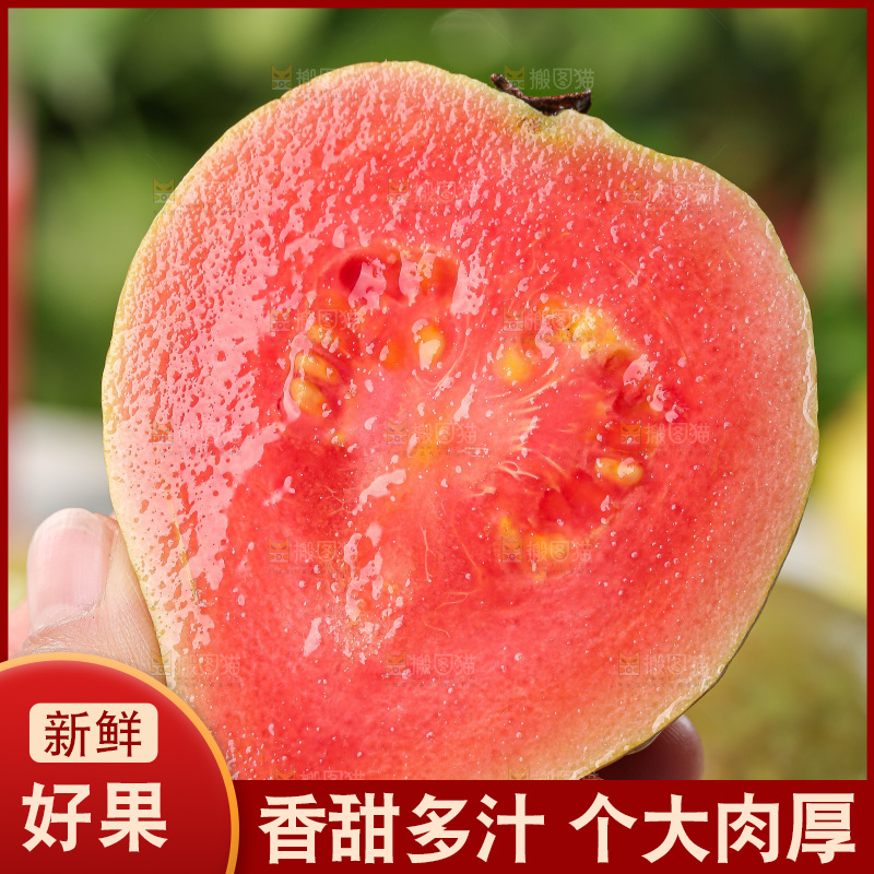 红心芭乐