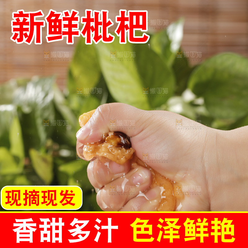 米易枇杷