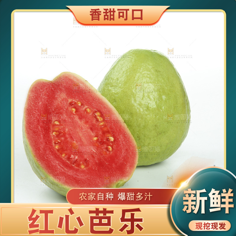 白底上的红心芭乐