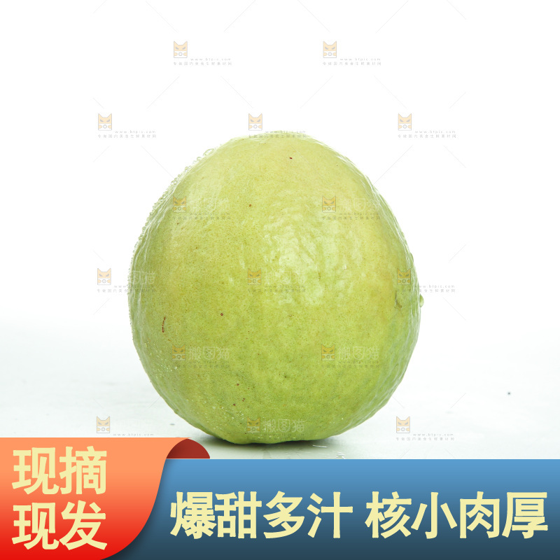白底上的红心芭乐