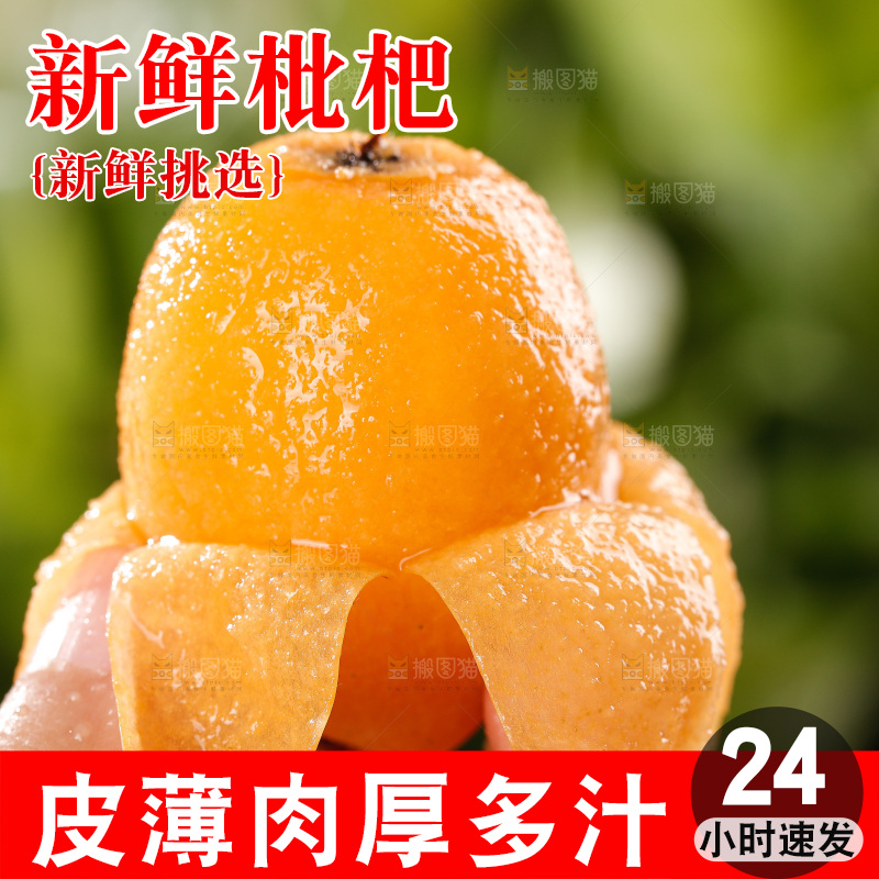 米易枇杷