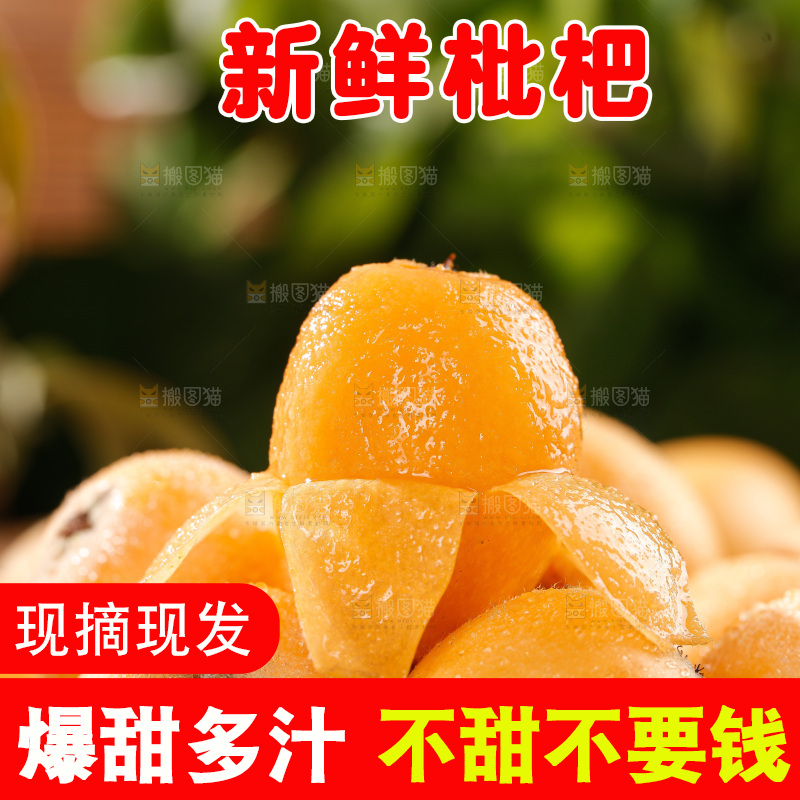 米易枇杷
