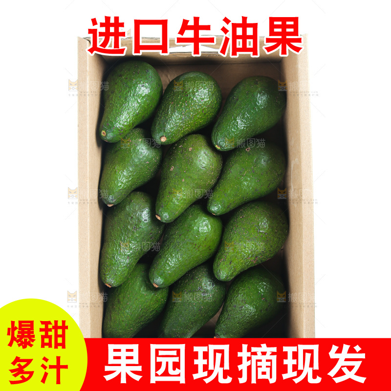 白底上的牛油果