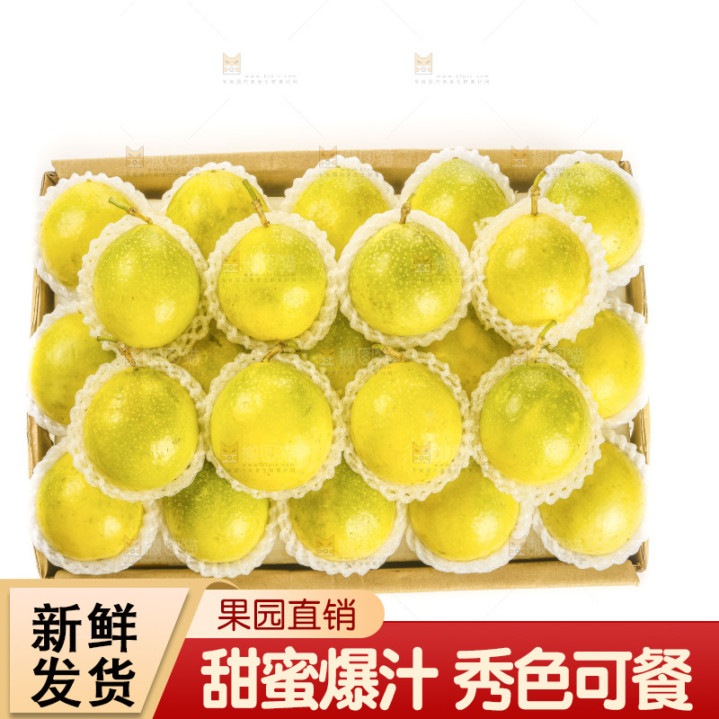 黄金百香果