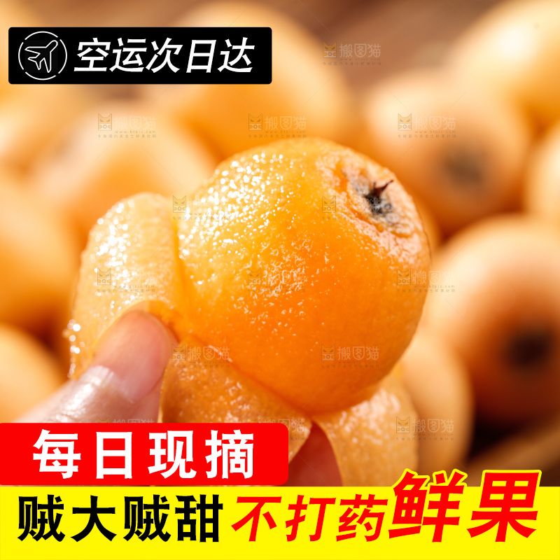 米易枇杷