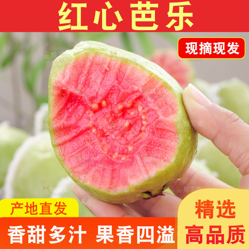 红心芭乐