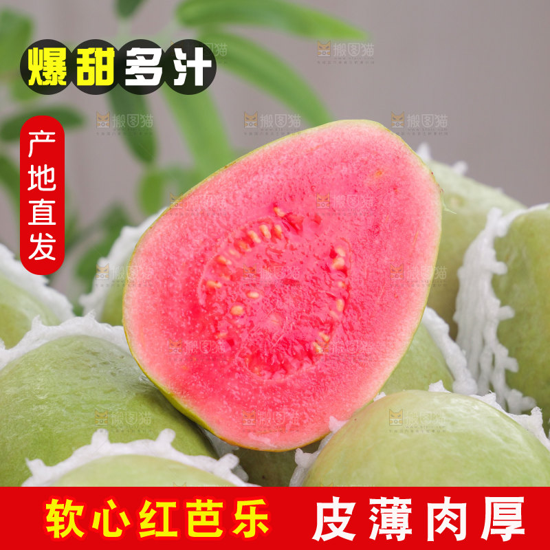 红心芭乐