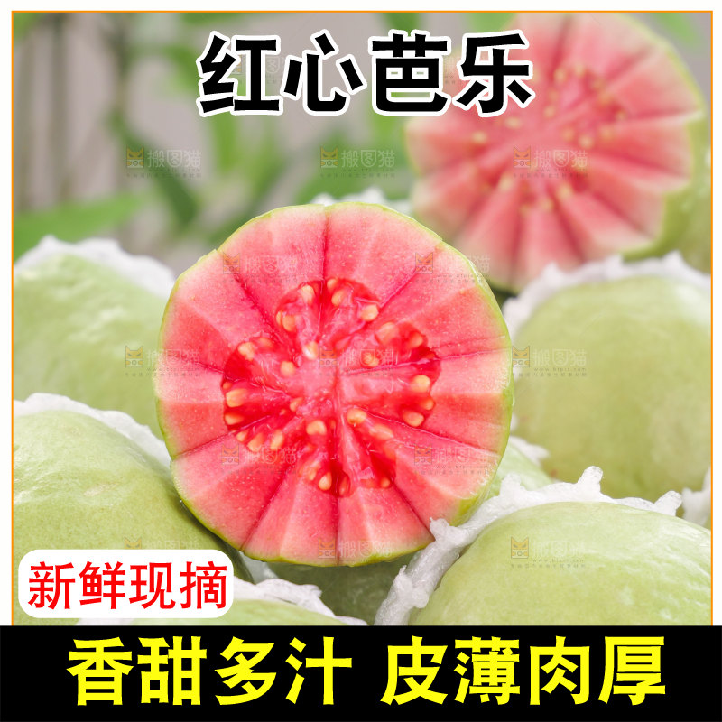 红心芭乐